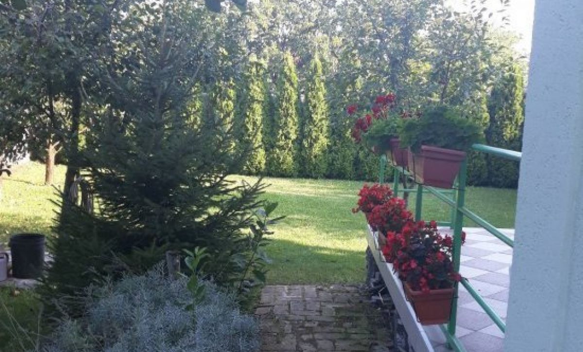 House  in Belgrade