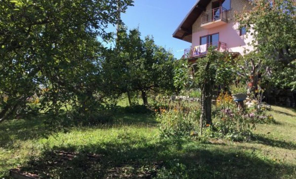 House Kokin Brod / Zlatibor
