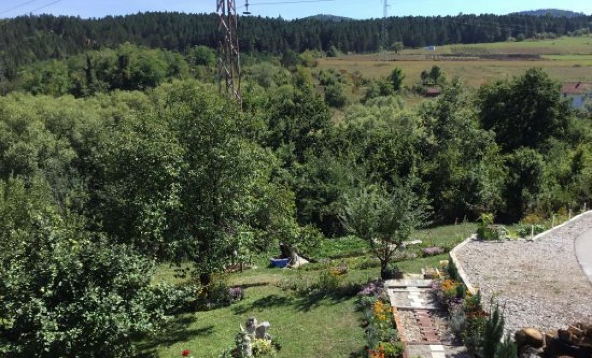 House Kokin Brod / Zlatibor