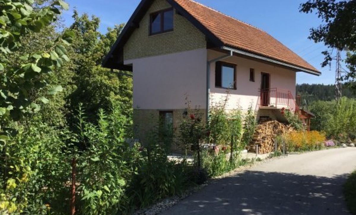 House Kokin Brod / Zlatibor