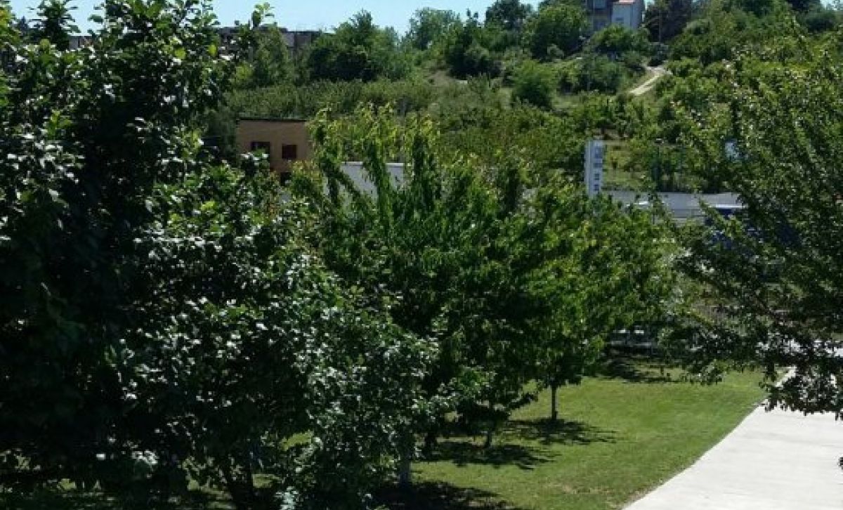 House  near  Belgrade