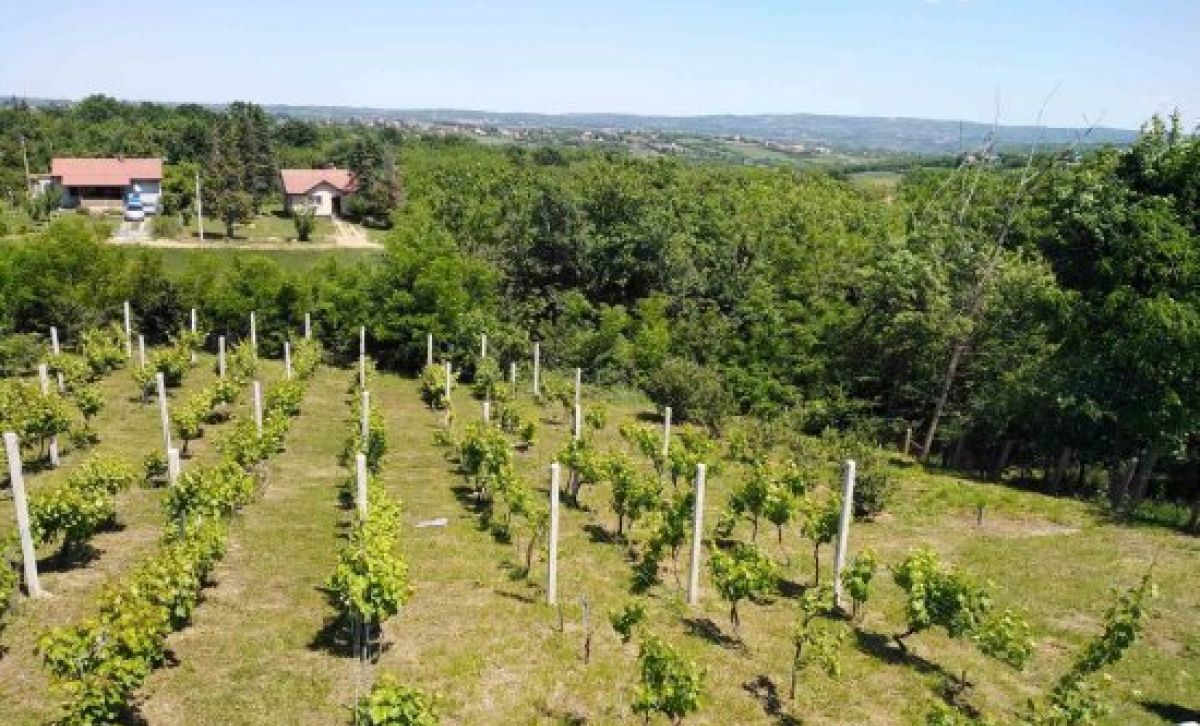 House  near  Belgrade / Kosmaj hills