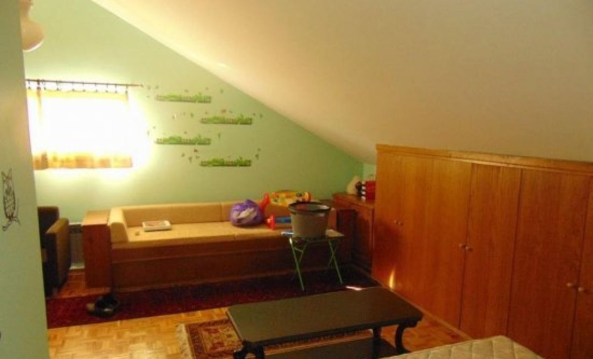 House  near  Belgrade / Obrenovac Baric with 80Ar of land