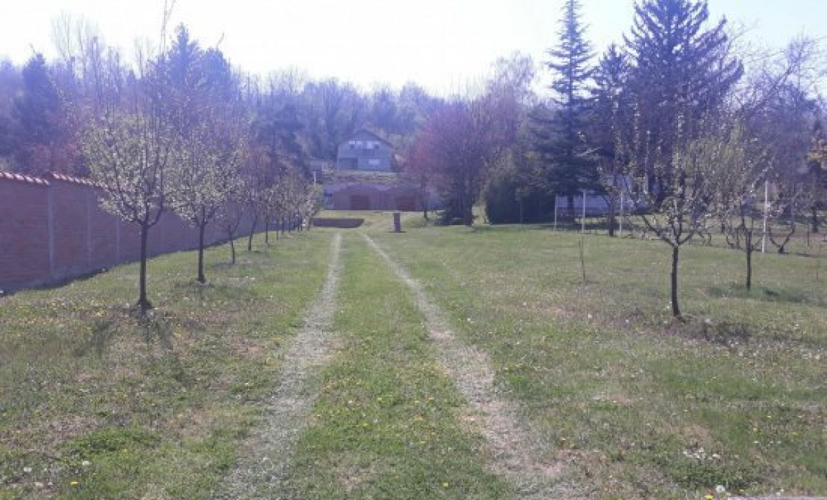 House near Novi Sad, with a view of the Danube river