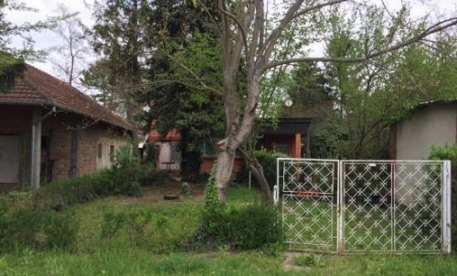 House on Palic Lake - SOLDT